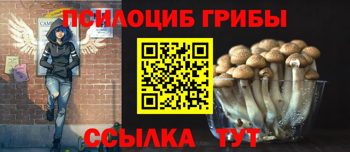Галлюциногенные грибы мицелий Кузнецк
